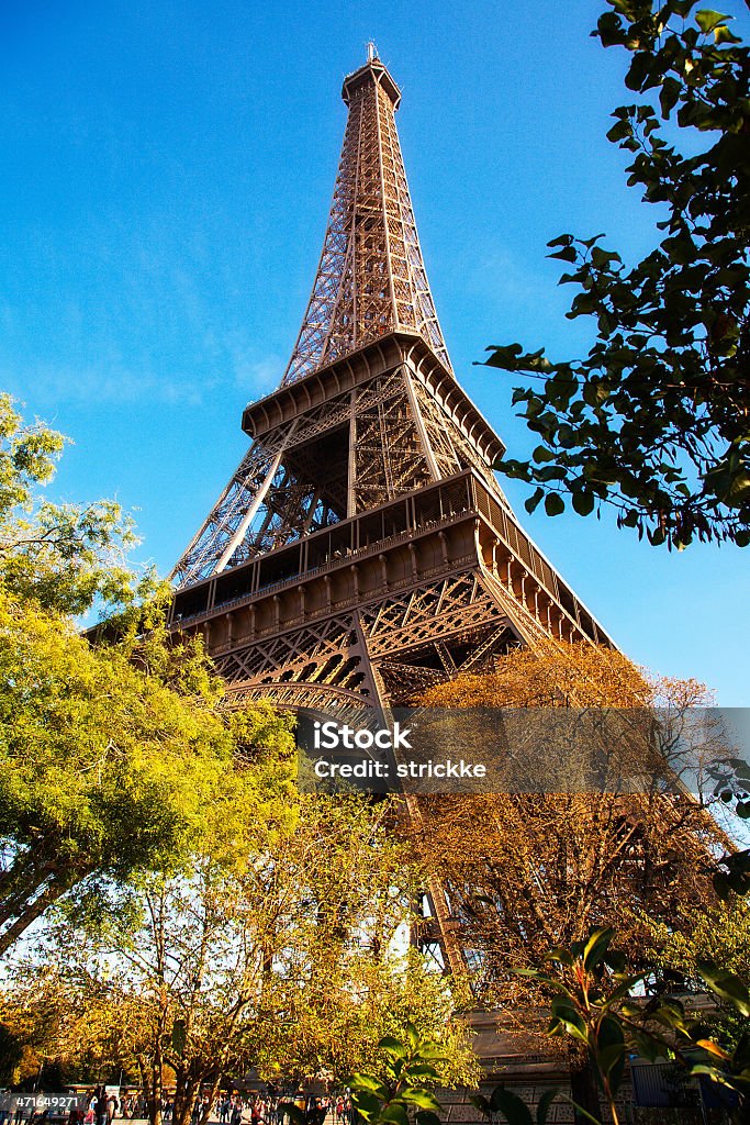 Golden Autumn Eiffel Tower Low Angle Low angle of the Eiffel Tower in autumn with golden late afternoon light. Arch - Architectural Feature Stock Photo
