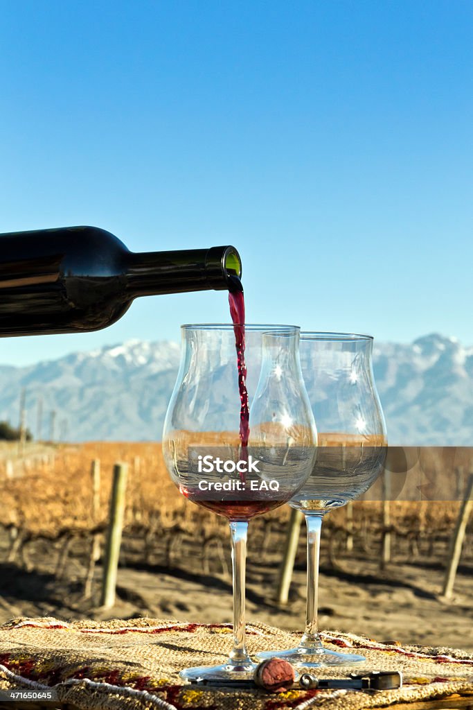 Glas und eine Flasche Rotwein - Lizenzfrei Alkoholisches Getränk Stock-Foto