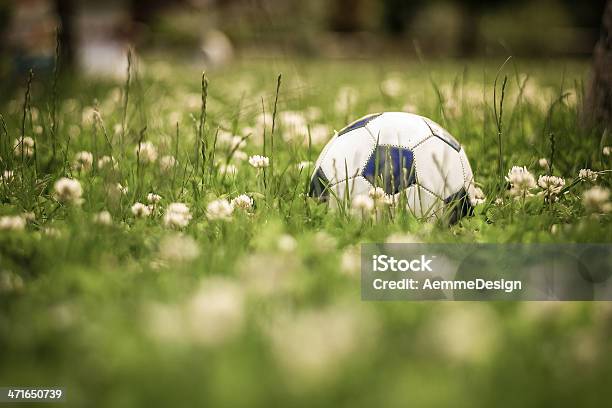 Photo libre de droit de Pallone Da Calcio Su Prato Verde Con Fiori banque d'images et plus d'images libres de droit de Anthémis - Anthémis, Aubépine - Plante, Donner un coup de pied