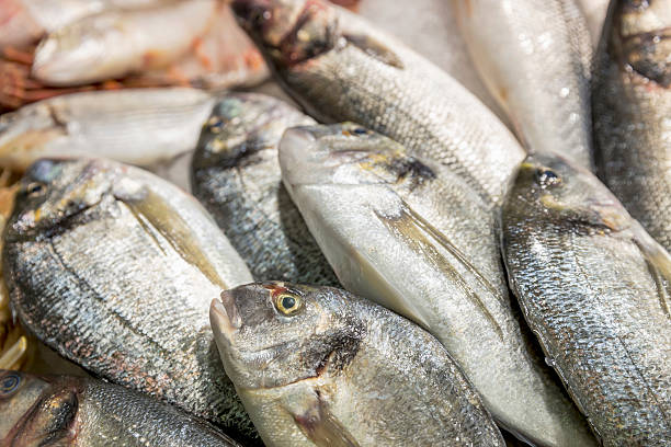 istock Pile of silver fish on ice 471651285