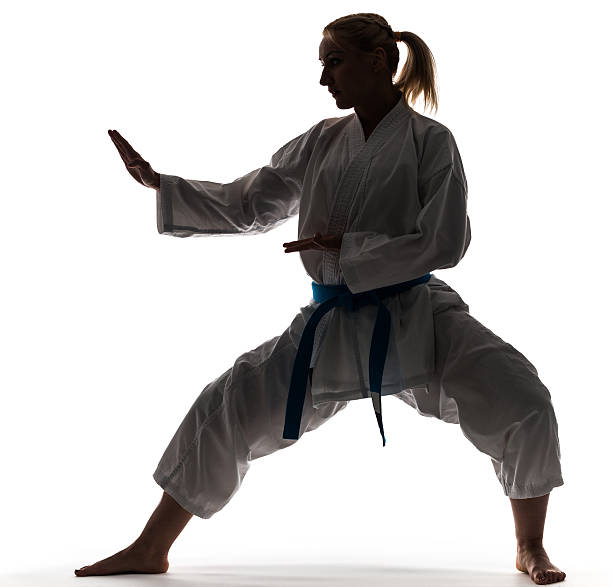Martial training, silhouette at isolated white background