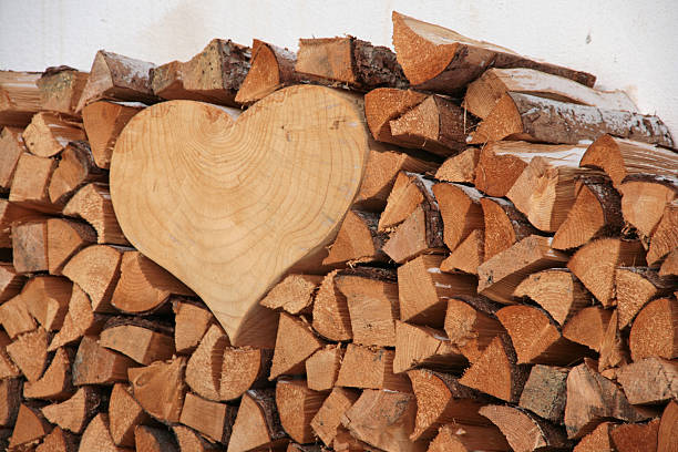 istock heart of wood 471652455