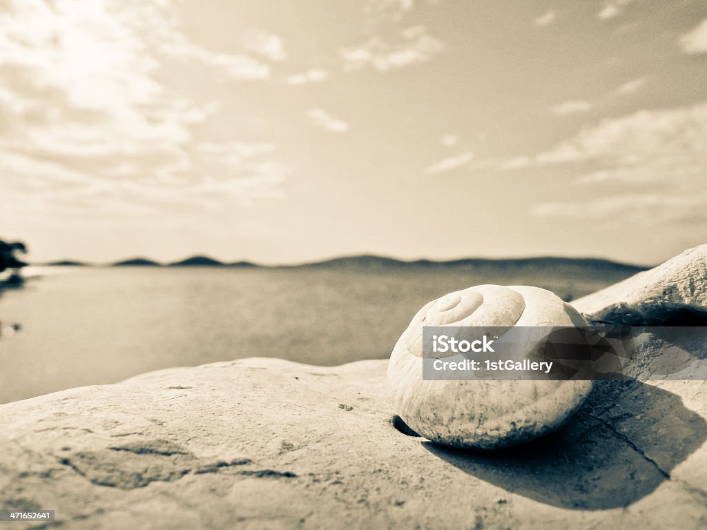 snail house on the beach snail house on the beach (17) with wonderful skyand dalmatian island in background Animal Shell Stock Photo