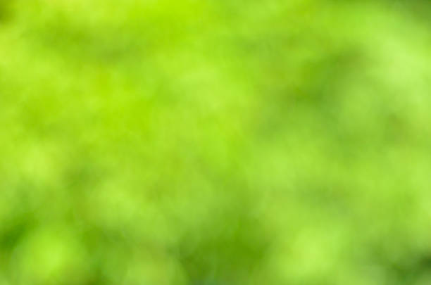istock Natural green defocused blur abstract background 471652832