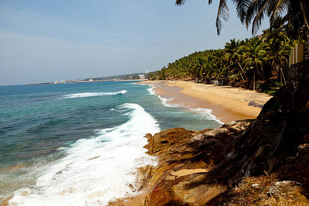istock Ocean Coast With Sand And Palm Trees 471653548