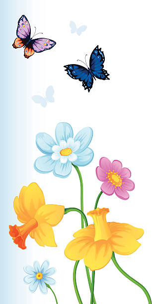 grußkarte mit farbenfrohen schmetterlingen und blumen - daffodil flower silhouette butterfly stock-grafiken, -clipart, -cartoons und -symbole