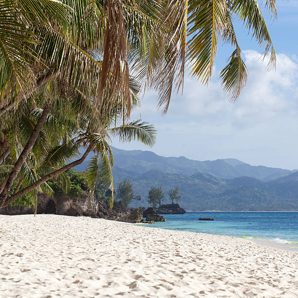 istock Tropical beach with beautiful palms and white sand, Philippines 471654744