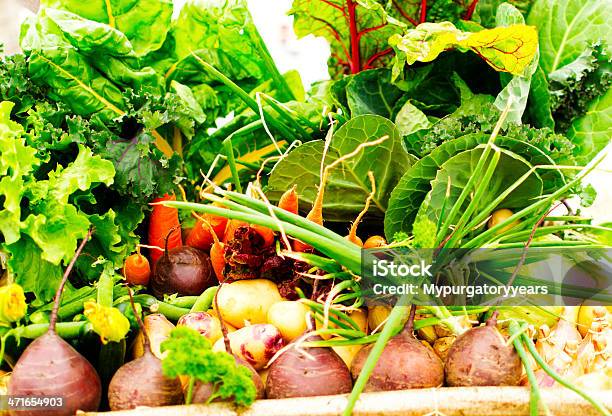 야채 이메일함 가을에 대한 스톡 사진 및 기타 이미지 - 가을, 건강한 생활방식, 건강한 식생활