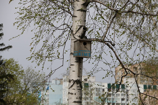 Bird House on a tree.