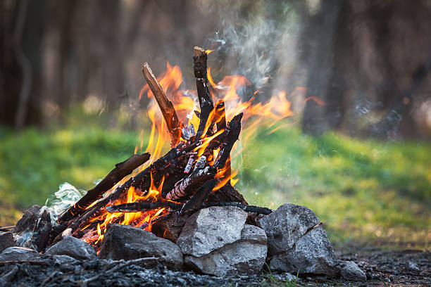 костёр весной forest. уголь огня - arson black bright burning стоковые фото и изображения