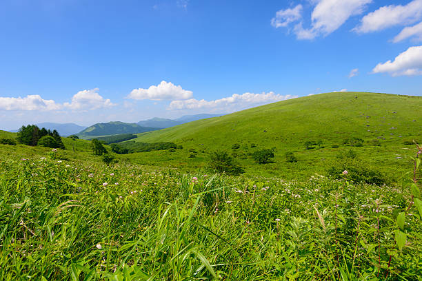 istock Kirigamine in Nagano, Japan 471659904