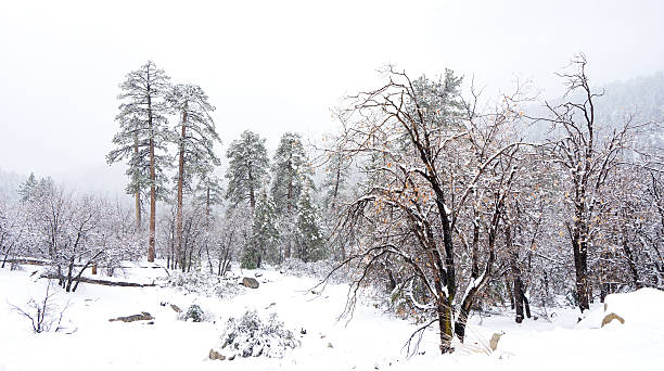 istock snow storm in the mountains 471659970