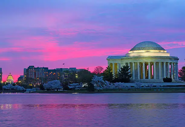 Photo of Thomas Jefferson Memorial at dawn during cherry blossom festival.
