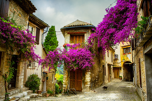 An idyllic skyline of the medieval heart of Viterbo, in central Italy, with the bell tower of the Cathedral of San Lorenzo (Saint Lawrence) and a glimpse of the village of San Pellegrino. The historic center of Viterbo, the largest in Europe with countless historic buildings, churches and villages, stands on the route of the ancient Via Francigena (French Route) which in medieval times connected the regions of France to Rome, up to the commercial ports of Puglia, in southern Italy, to reach the Holy Land through the Mediterranean. Located about 100 kilometers north of Rome, in the Lazio region, Viterbo is also known as the City of Popes because in the 13th century it was the seat of papal power for 24 years. Founded by the Etruscan civilization and recognized as a city in the year 852, Viterbo is characterized by its peperino stone and tuff constructions, materials abundantly present in this region of central Italy. Image in 16:9 and high definition format.