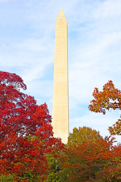 istock Washington Monument surrounded by trees in autumn foliage. 471663364