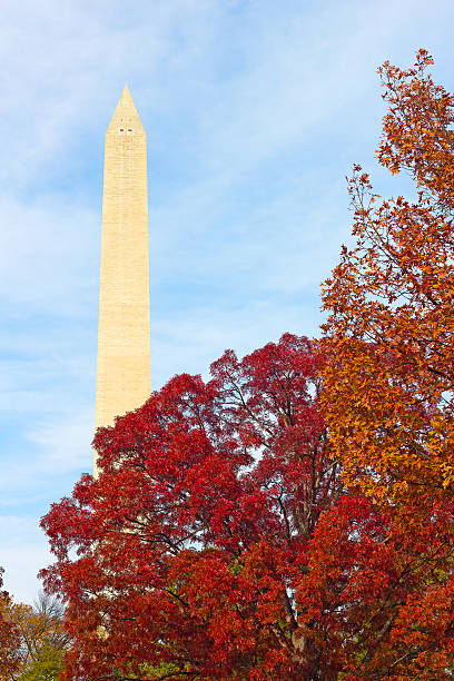 istock Washington Monument surrounded by trees in autumn foliage. 471663366