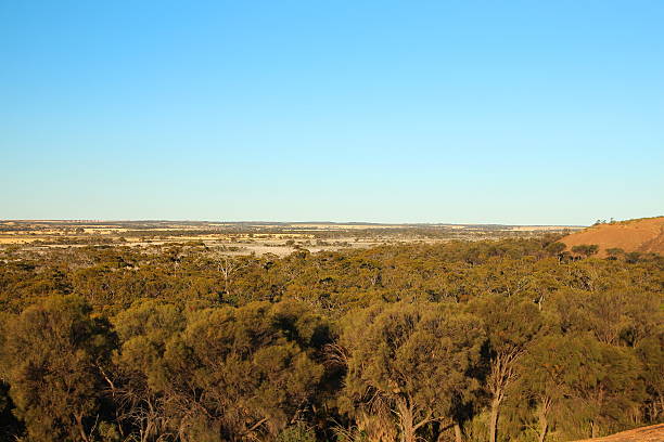 istock View from the Wave Rock in Australia 471664060