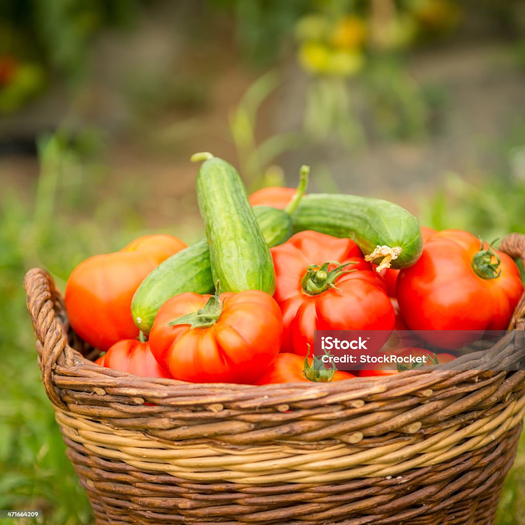 Tomates à tissage de panier - Photo de Aliment libre de droits