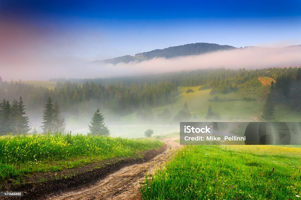 roads in fogy mountain crossroads of mountain roads near the woods and glade in the morning mist Atmospheric Mood Stock Photo