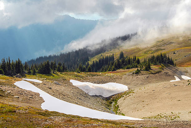 istock Olympic National Park landscape 471666574