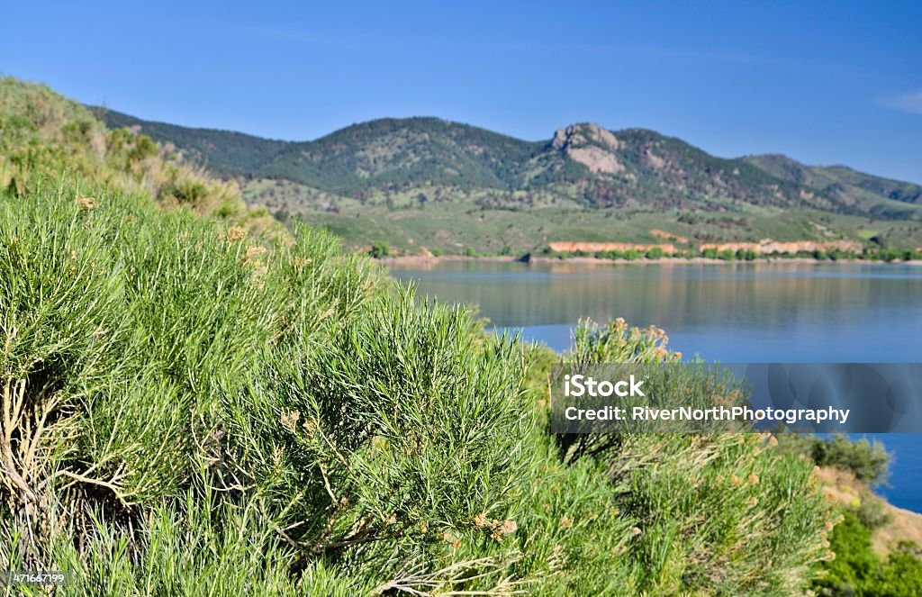 Krajobraz Kolorado - Zbiór zdjęć royalty-free (Bez ludzi)