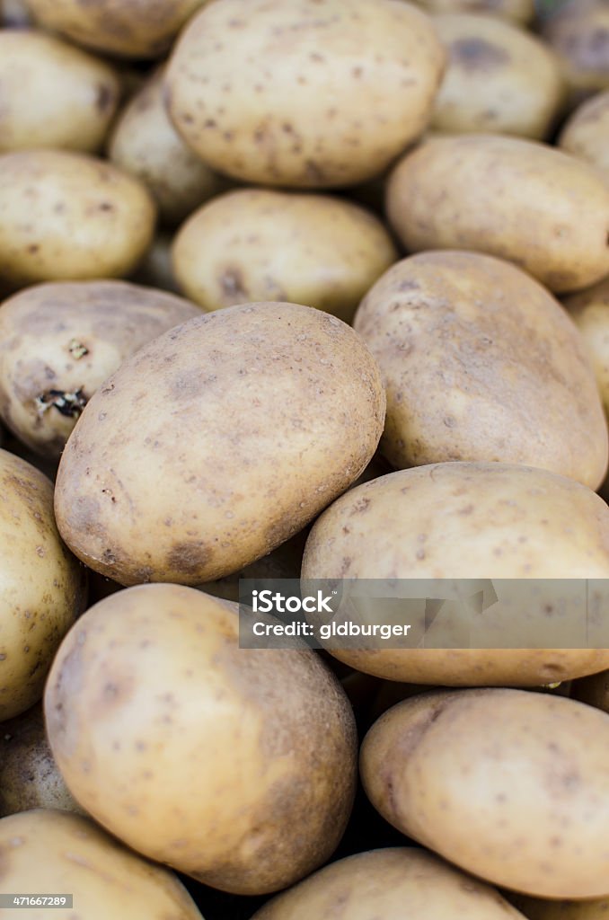 Свежего картофель - Стоковые фото Большая группа объектов роялти-фри