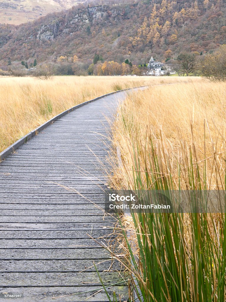 Walk Walk trough the meadow in cumbria, uk Bicycle Stock Photo
