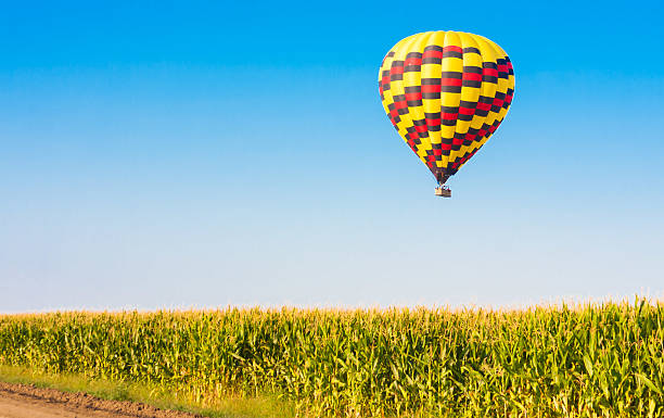 istock Hot air balloon flying over corn fields against blue sky 471668801
