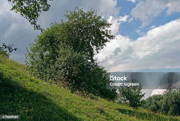 Photo libre de droit de Apple Arbre banque d'images et plus d'images libres de droit de Accident et désastre - Accident et désastre, Arbre, Arbre fruitier