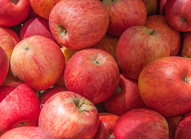 istock Red Apples on Display at Farmer's Market 471670498