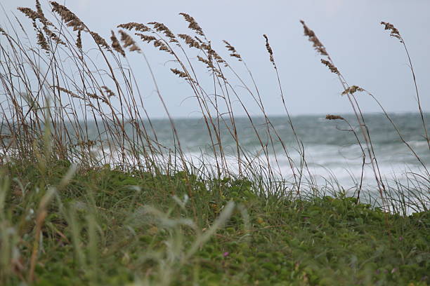 istock Atlantic ocean through the seagrass 471671481