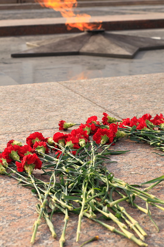 Rosas y la llama eterna-Victoria Park, MOSCÚ-Rusia photo