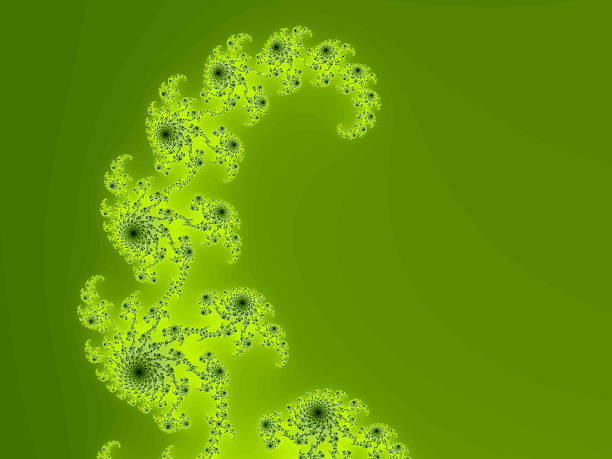 istock Mandelbrot Fern Frond 471672199