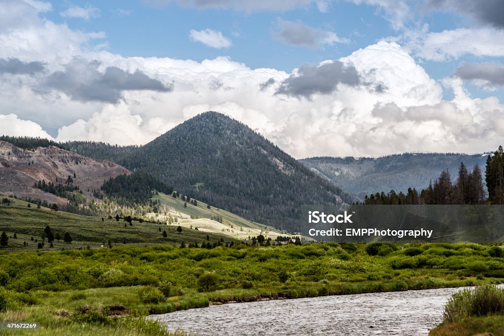 Rzeka i Mountain Range of Park Narodowy Yellowstone - Zbiór zdjęć royalty-free (Bez ludzi)