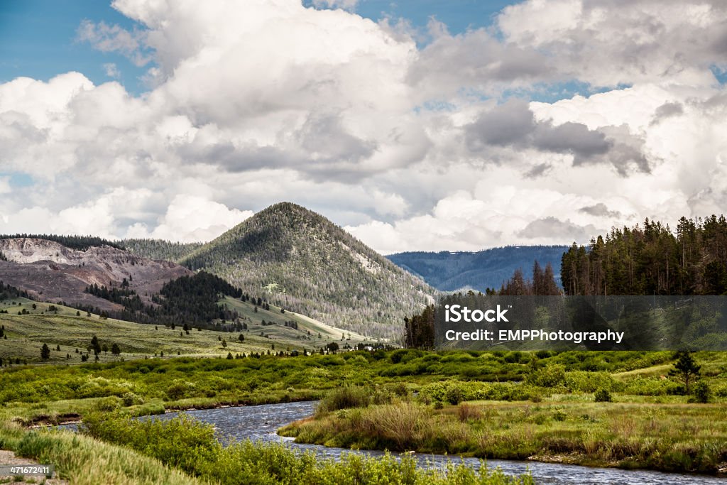 Forrest River montanhas do Parque Nacional de Yellowstone - Foto de stock de Campo royalty-free