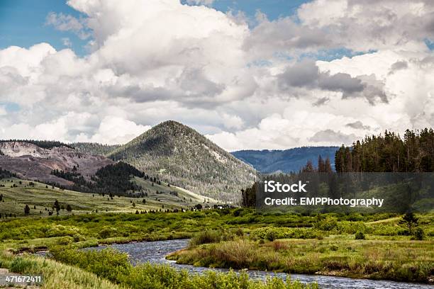 Foto de Forrest River Montanhas Do Parque Nacional De Yellowstone e mais fotos de stock de Campo