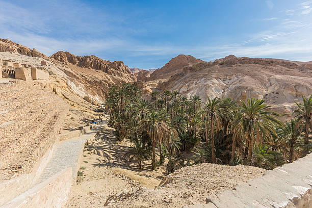 istock mountain oasis Chebika in Sahara desert, Tunisia 471673541