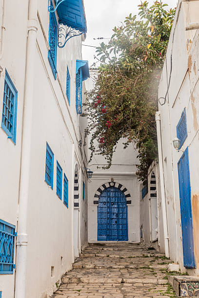 istock view of Sidi Bou Said in Tunisia 471673955