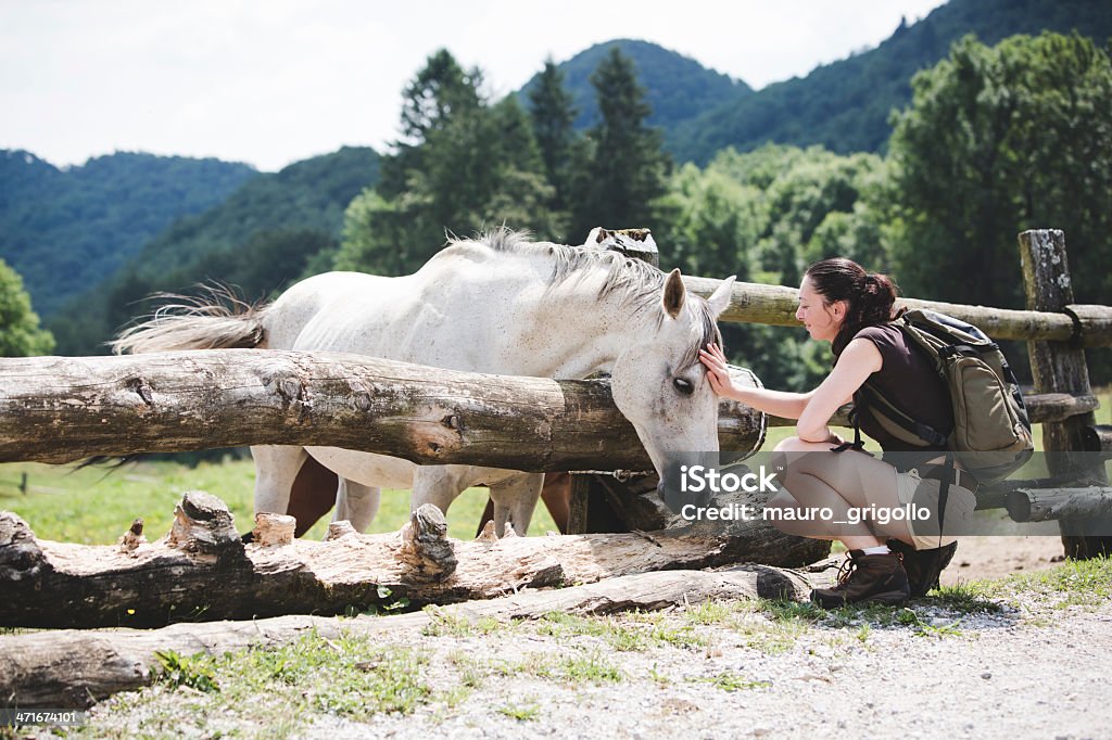Femme câlins un cheval blanc - Photo de Activité de loisirs libre de droits