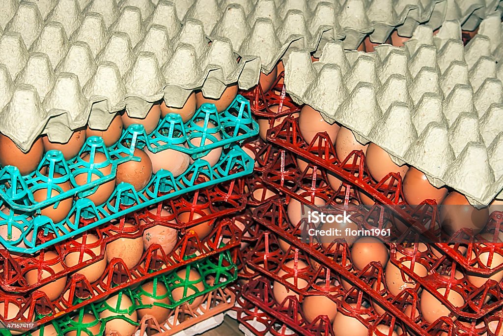 Huevos de almacenamiento - Foto de stock de Abierto libre de derechos