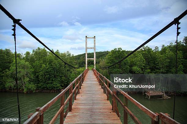 Madera Puente Colgante Al Estuario De Manglar Foto de stock y más banco de imágenes de Agua - Agua, Aire libre, Aventura