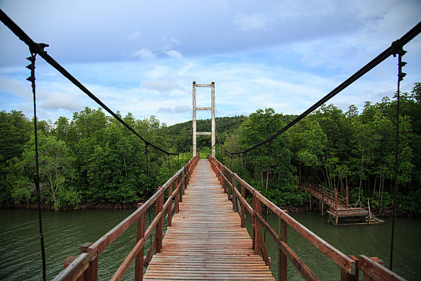 Wooden suspension bridge across mangrove estuary. stock photo