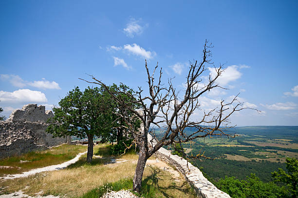 Les Andelys, France - August 27, 2025: The medieval castle ruins of Chateau Gaillard viewed from the foot of the hill. The castle overlooks the River Seine above the commune of Les Andelys, in the French department of Eure, in Normandy.