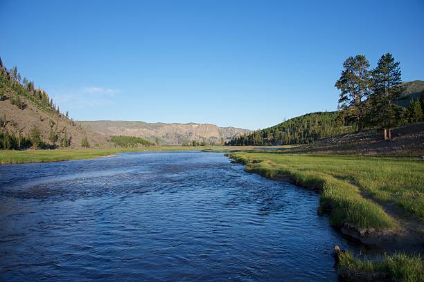 istock Bank of the Snake River (4) 471677215