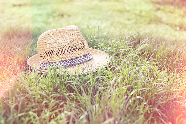 istock Old straw hat against attached on a plant in garden 471678108