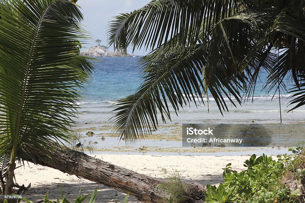 Anse Severe, Praia na maré baixa, Ilha La Digue, Seychelles - Royalty-free Anse Severe Foto de stock