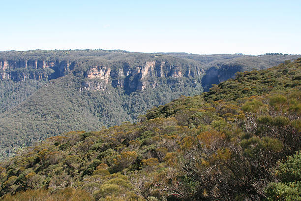 istock The blue mountain near Sidney in Australia 471680603