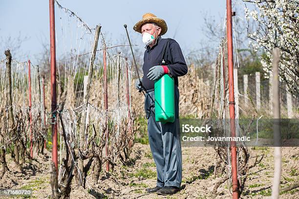 Plant Protection Stock Photo - Download Image Now - Spraying, Vintner, 2015