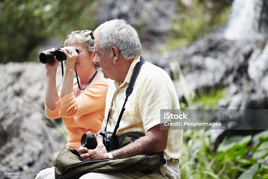 Ensemble dans la nature - Photo de Activité libre de droits