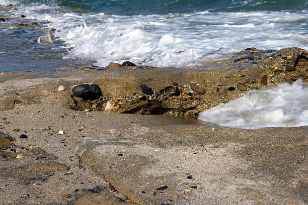istock Sea water on a rock beach closeup texture 471683423